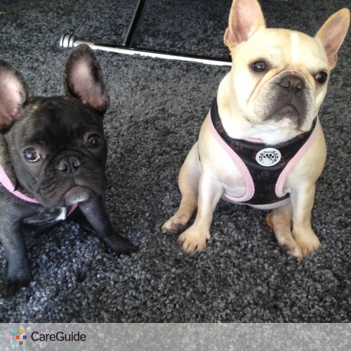 Pet Care Job April McCord's Profile Picture