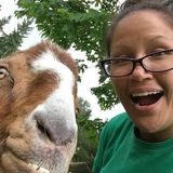 Compassionate & Experienced Pet/Farm Sitter