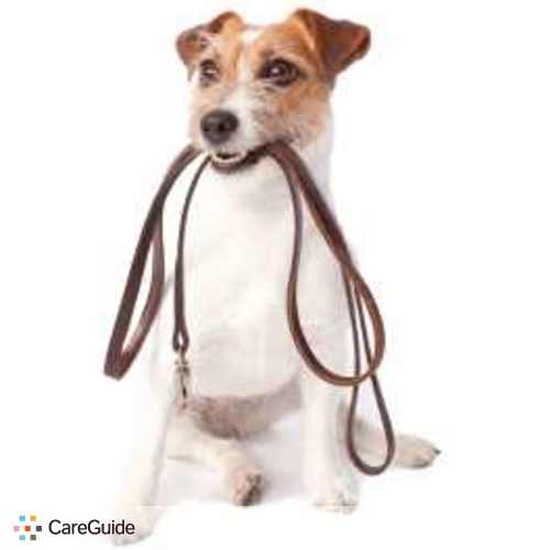 Pet Care Provider Rebecca Purcell's Profile Picture