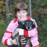 Dog Sitter Available! Flexible Schedule. Friendly, Trustworthy!