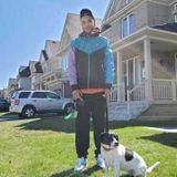 Available For a Dog Sitting Professional Opportunity in Alliston