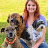 Farm & Companion animal care (Spring Hill,TN-Florence,AL)