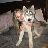 Florence Dog Sitter Searching for Being Hired