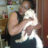 San Antonio In Home Caregiver Searching for Work
