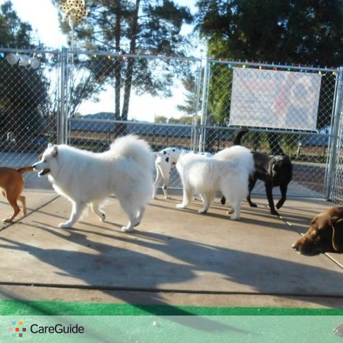 Pet Care Provider K9 Day O's Profile Picture
