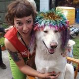 Lauren McfFadden, Philadelphia Dog Sitting Professional Available For Being Hired in Pennsylvania