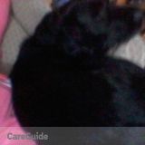 Experienced Pet Sitter, excited to fill your shoes when you are away