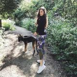 Professional Kennel Services Available Now!