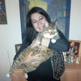 Hoping to Connect with a Passionate cat lover Care Provider in Aiken, South Carolina