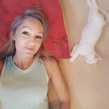 Frequent Travellers With An Adorable Kitten