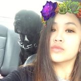Reliable and Caring Pet Sitter