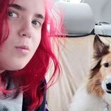 Pet Sitting Offered in Justice and general surrounding area