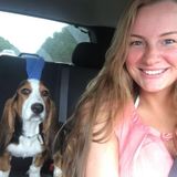 Excellent Pet Care Provider