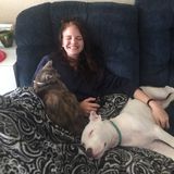 Hey! Looking for someone to show your fur babies some love when youre away? Id be more than willing to!