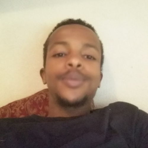 House Sitter Provider Mohamed A's Profile Picture