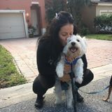 Qualified and Dependable Pet sitter- Available immediately