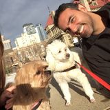 I love animals especially the dogs ! I live in Beltline Downtown