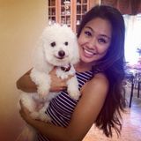 Good Pet Sitter for Hire