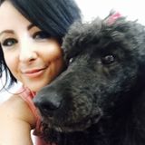 Excellent pet care & dog walker