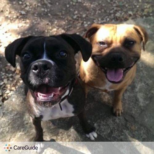 Pet Care Provider Samantha Stevenson's Profile Picture