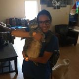 A loving pet sitter ready to care for your 4 legged friends.