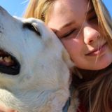 Pet Feeding Offered in Santa Paula