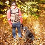 West Bloomfield Dog Sitter Looking For Being Hired in Michigan