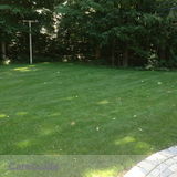Foien's Lawn & Landscape - Full Service Lawn Care