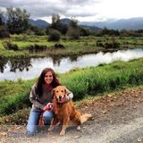 Qualified and Experienced Pet-Sitter - available immediately!
