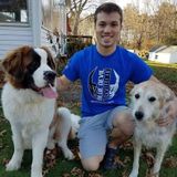 Dog enthusiast interested in dog walks, pet sitting, and pet care