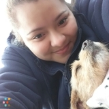 Qualified and Dependable Pet SitterAvailable Immediately