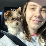 Available: Careful House Sitting Professional in Orem, Utah