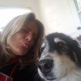 Pet Care Provider in Mentor, Ohio