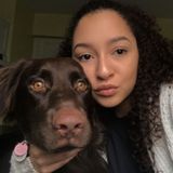 Available: Skilled Dog Sitter in Peterborough