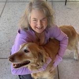 Reliable Dog Walker and Cat Sitter in Cottonwood, Arizona