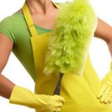 Cleaning lady