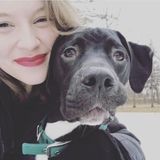 Polite Dog Sitter for Hire