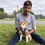 Charlottesville, Virginia Animal Lover
