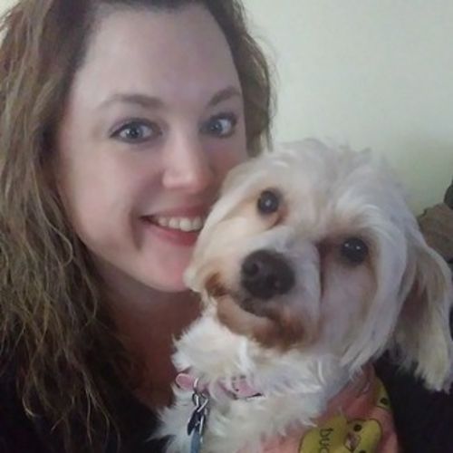 Pet Care Provider Amanda M's Profile Picture