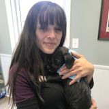Concord Dog Walker Seeking Job Opportunities