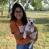 My name is Anissa and I offer walking animals, pet sitting or anything you need. Ive worked at a vet hospital for 3 years.