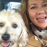Wonderful Dog Walker in Greenville