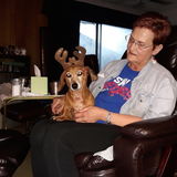 Dog Walking Offered in Dallas