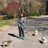 Louisville/Boulder/Denver House Sitting Provider Available