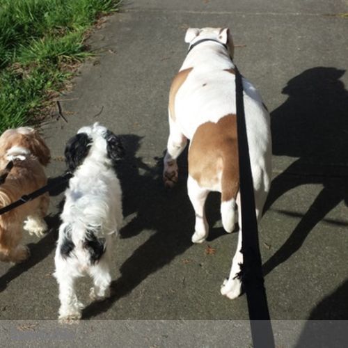 Pet Care Provider Karen G's Profile Picture