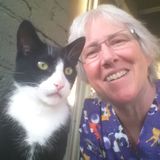Available when you are, for home / cat care