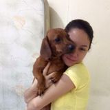 Passionate Dog Trainer for Your Home