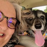 Experienced Overnight Pet Sitter in Montgomery Area