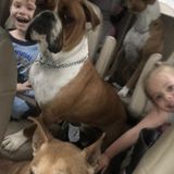 Just moved to Rapid City from Denver. Nanny and/or in-home care Provider Interested In Being Hired.