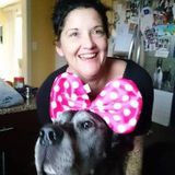 Available: Knowledgeable House Sitter in Chilliwack, British Columbia